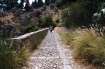 pellegrino_paola_06_0077.jpg