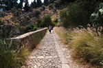 pellegrino_paola_06_0078.jpg