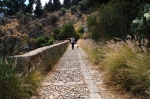 pellegrino_paola_06_0079.jpg