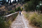 pellegrino_paola_06_0080.jpg