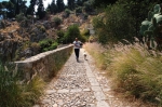 pellegrino_paola_06_0081.jpg