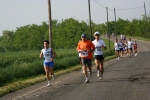 7-5-06-AlessandriaFrasche-roberto.mandelli-185.jpg