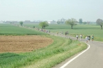 MatteoRobbianoMezzaFraschettaBibendum07052006 133.jpg