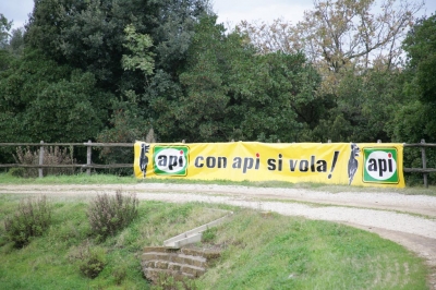 Clicca per vedere l'immagine alla massima grandezza