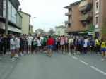 arceto06_morselli 039.jpg