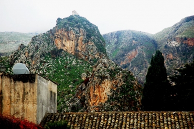 Clicca per vedere l'immagine alla massima grandezza