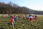 14-1-06-Brianzolo.Besana037.jpg