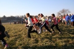 14-1-06-Brianzolo.Besana062.jpg