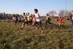 14-1-06-Brianzolo.Besana078.jpg