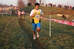 14-1-06-Brianzolo.Besana390.jpg