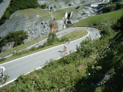 Clicca per vedere l'immagine alla massima grandezza