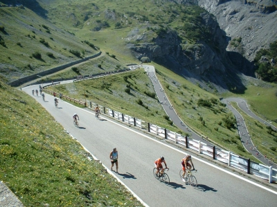 Clicca per vedere l'immagine alla massima grandezza
