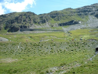 Clicca per vedere l'immagine alla massima grandezza