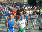 borzan 016.jpg