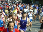borzan 018.jpg