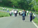 borzan 060.jpg