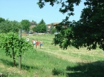 bosco 121.jpg