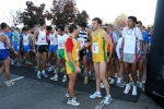12.11.06-Brugherio-MI-roberto.mandelli-017.jpg