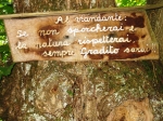 ventasso_gara_06_0085.jpg