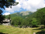 ventasso_gara_06_0092.jpg