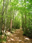ventasso_gara_06_0129.jpg