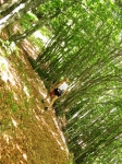 ventasso_gara_06_0147.jpg