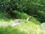 ventasso_gara_06_0149.jpg