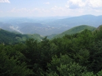 ventasso_gara_06_0164.jpg