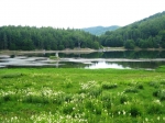 Nome del file=ventasso_gara_06_0176.jpg
Dimensione del file=204KiB
Dimensioni=1024x768
Aggiunta il=12 Lug 2006 ventasso_gara_06_0176.jpg