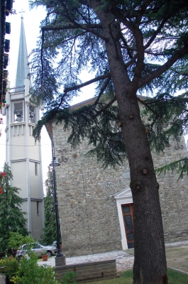 Clicca per vedere l'immagine alla massima grandezza