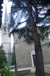 ventasso_vigilia_06_0044.jpg