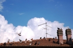 ventasso_vigilia_06_0082.jpg