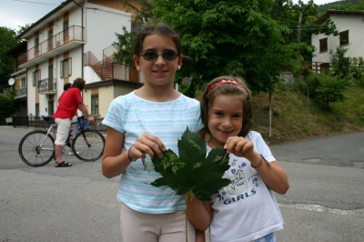 Clicca per vedere l'immagine alla massima grandezza