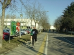 cadelbosco_morselli 086.jpg