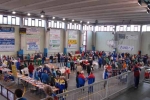 V0011.jpg