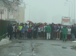 canolo06 040.jpg