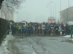 canolo06 041.jpg