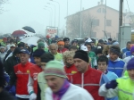 canolo06 051.jpg