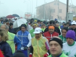canolo06 052.jpg