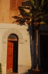 capaci_2006_0105.jpg