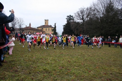 Clicca per vedere l'immagine alla massima grandezza