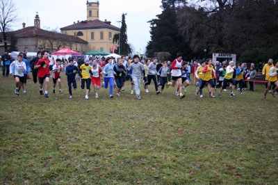 Clicca per vedere l'immagine alla massima grandezza