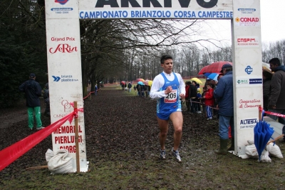 Clicca per vedere l'immagine alla massima grandezza