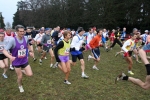 25-2-06.Brianzolo.Carate233.jpg