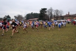 25-2-06.Brianzolo.Carate369.jpg