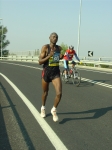 carpi2006_morselli 030.jpg