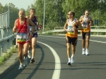 carpi2006_morselli 181.jpg