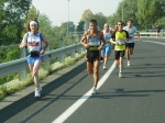 carpi2006_morselli 205.jpg