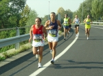 carpi2006_morselli 207.jpg