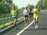 carpi2006_morselli 208.jpg